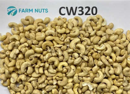 Cashew kernel CW320